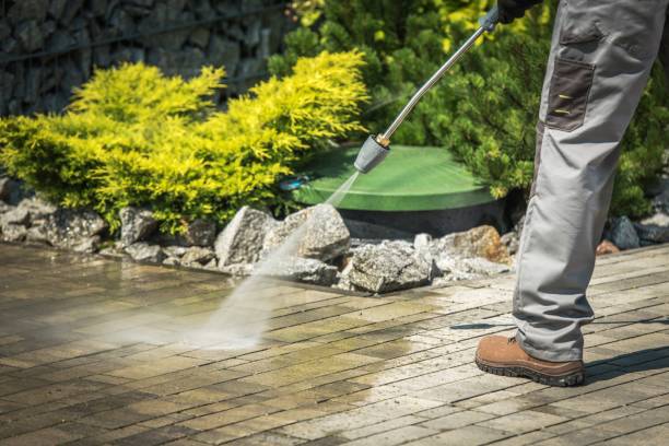Best Roof Washing  in East Williston, NY