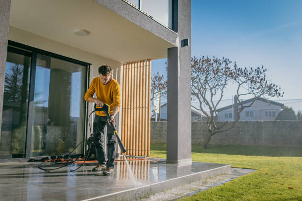 Best Pre-Holiday Cleaning  in East Williston, NY
